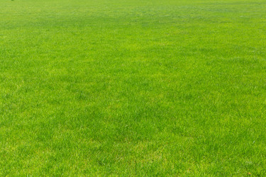 Similar image 11440993