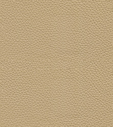 Similar image 11440994