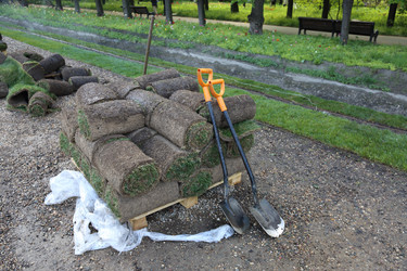 Similar image 11440851