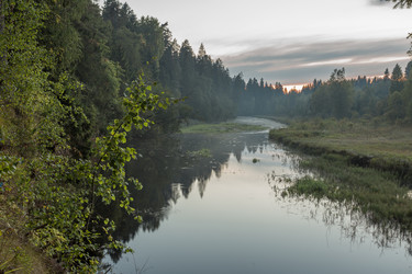 Similar image 11445310