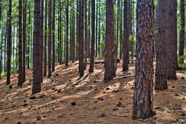 Similar image 11441093