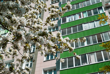 Similar image 11443569