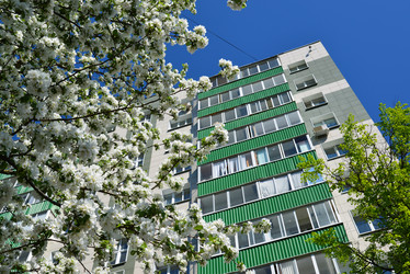 Similar image 11443571