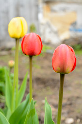 Similar image 11446198