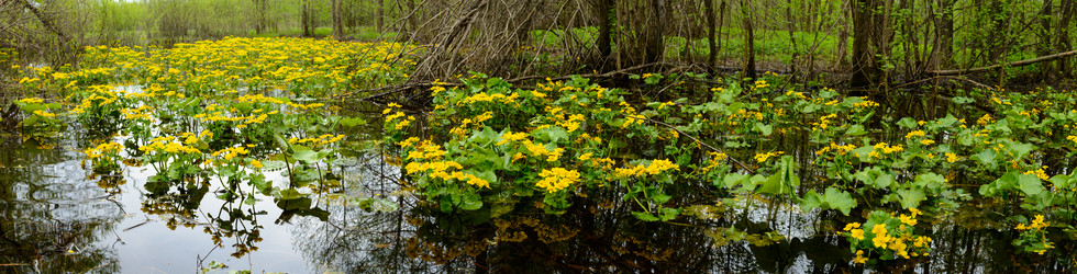 Similar image 11446206