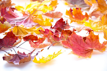 Similar image 11440833