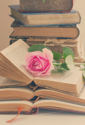 Similar image 11443995