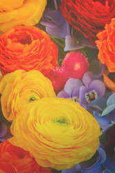 Similar image 11443996