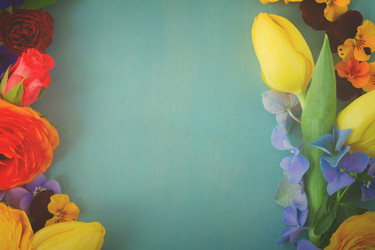 Similar image 11443997