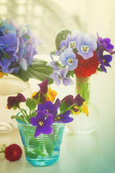 Similar image 11443909