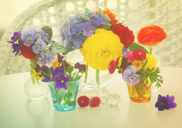 Similar image 11443910