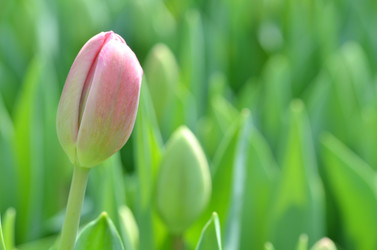 Similar image 11444129