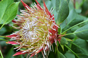 Similar image 11444131