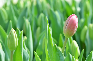 Similar image 11444148