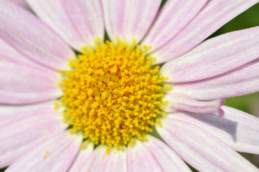 Similar image 11444150