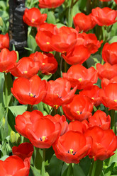 Similar image 11444003