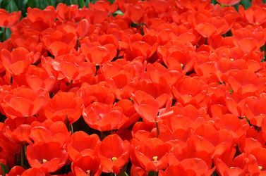 Similar image 11444008