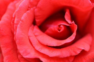 Similar image 11444009