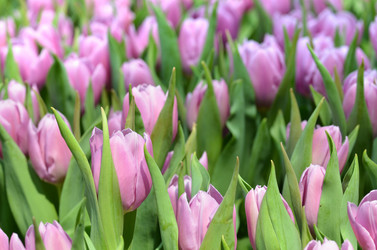 Similar image 11444010