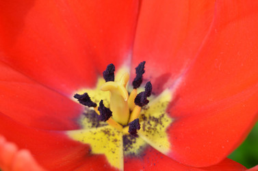 Similar image 11444025