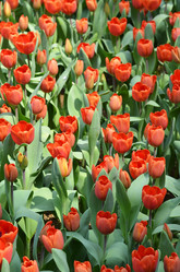 Similar image 11444029