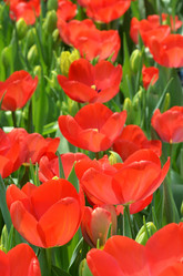 Similar image 11444046