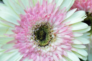 Similar image 11444048