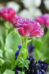 Similar image 11444060