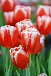 Similar image 11444084