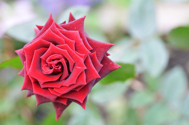 Similar image 11444091