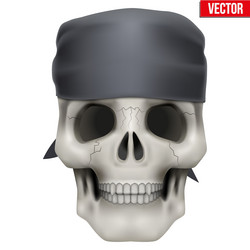 Similar image 11461996