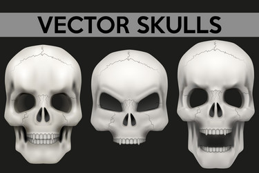 Similar image 11462054