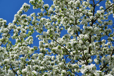 Similar image 11443628