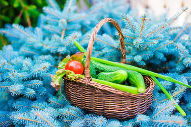 Similar image 11468098