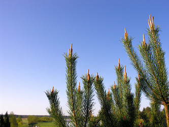 Similar image 11442771