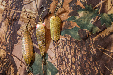 Similar image 11446207