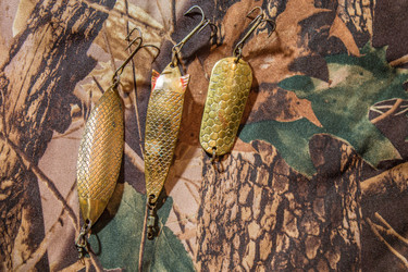 Similar image 11446209