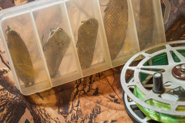 Similar image 11446212