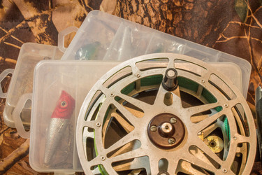 Similar image 11446220