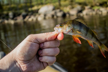 Similar image 11446028