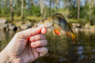 Similar image 11446032