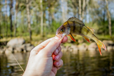 Similar image 11446033