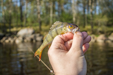 Similar image 11446034