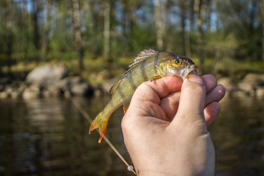 Similar image 11446035