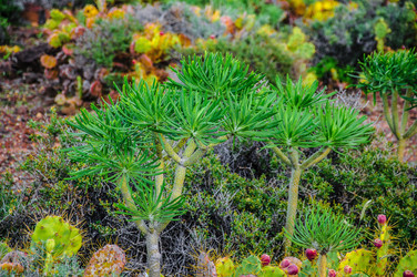 Similar image 11446521