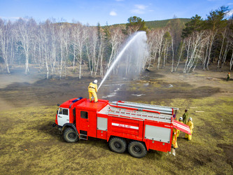 Similar image 11445709