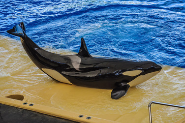 Similar image 11446537