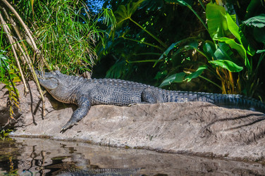 Similar image 11446675