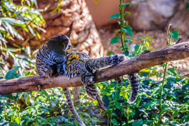 Similar image 11446677