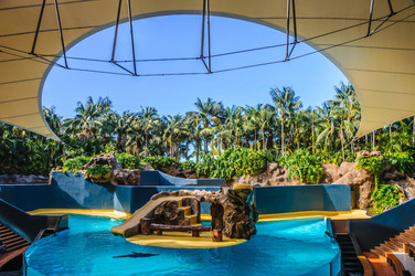 Similar image 11446557